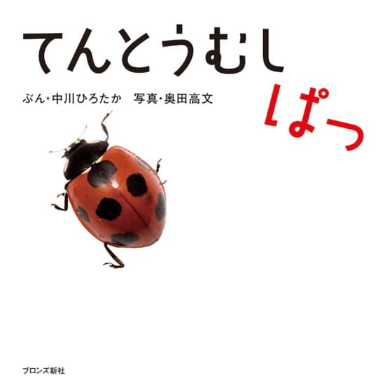 絵本「てんとうむし ぱっ」の表紙（中サイズ）