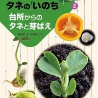 絵本「台所からのタネと芽ばえ」の表紙（サムネイル）