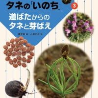 絵本「道ばたからのタネと芽ばえ」の表紙（サムネイル）