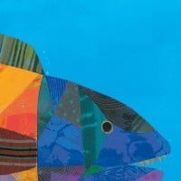 絵本「魚がすいすい」の表紙（サムネイル）