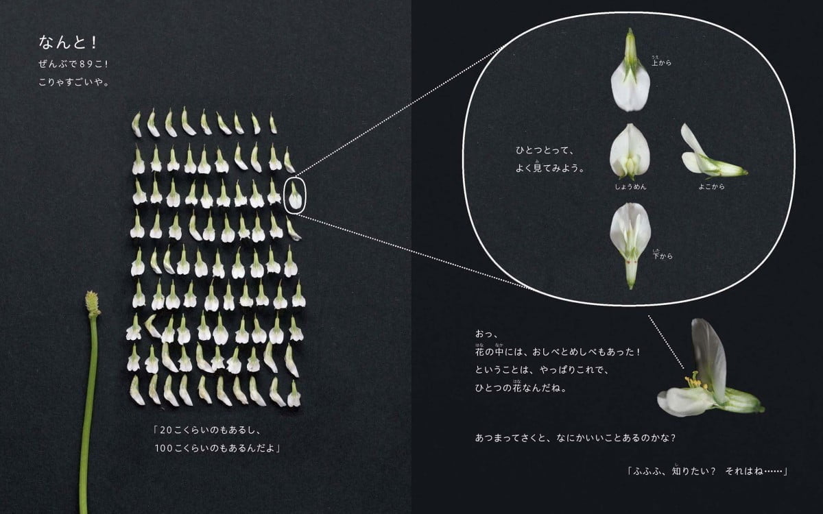 絵本「シロツメクサはともだち」の一コマ2