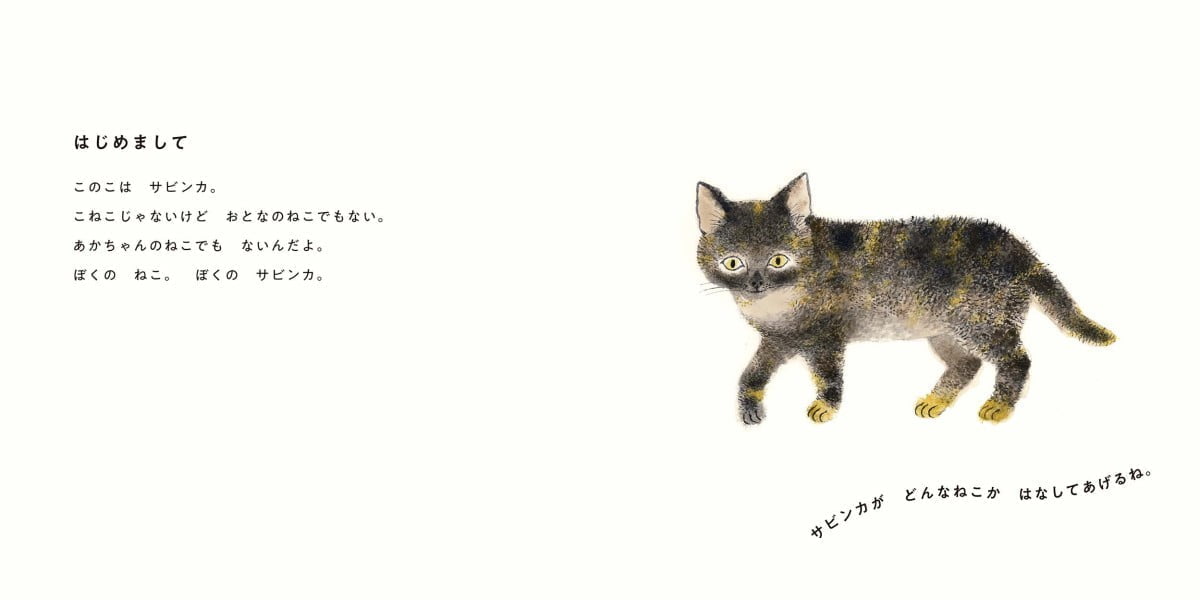 絵本「ぼくのサビンカ」の一コマ