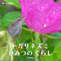 絵本「トガリネズミ ひみつのくらし」の表紙（サムネイル）