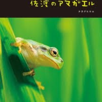 絵本「佐渡のアマガエル」の表紙（サムネイル）