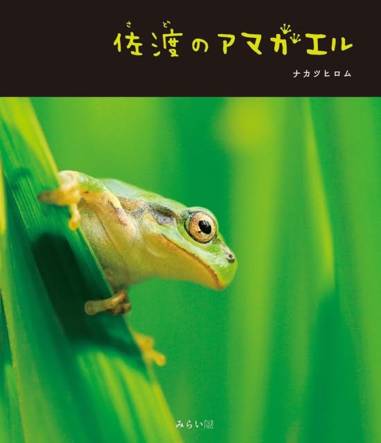 絵本「佐渡のアマガエル」の表紙（全体把握用）（中サイズ）