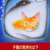 絵本「子猫の気持ちは？」の表紙（サムネイル）