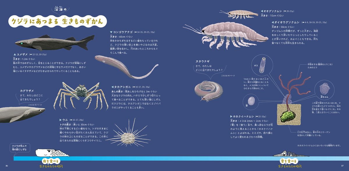 絵本「クジラがしんだら」の一コマ6