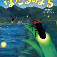 絵本「ほたるのよる」の表紙（サムネイル）