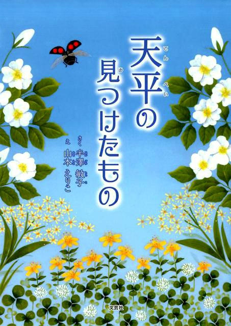 絵本「天平の見つけたもの」の表紙（詳細確認用）（中サイズ）