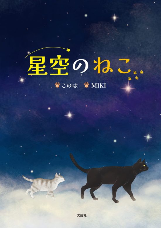 絵本「星空のねこ」の表紙（全体把握用）（中サイズ）