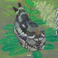 絵本「よだかの星」の表紙（サムネイル）