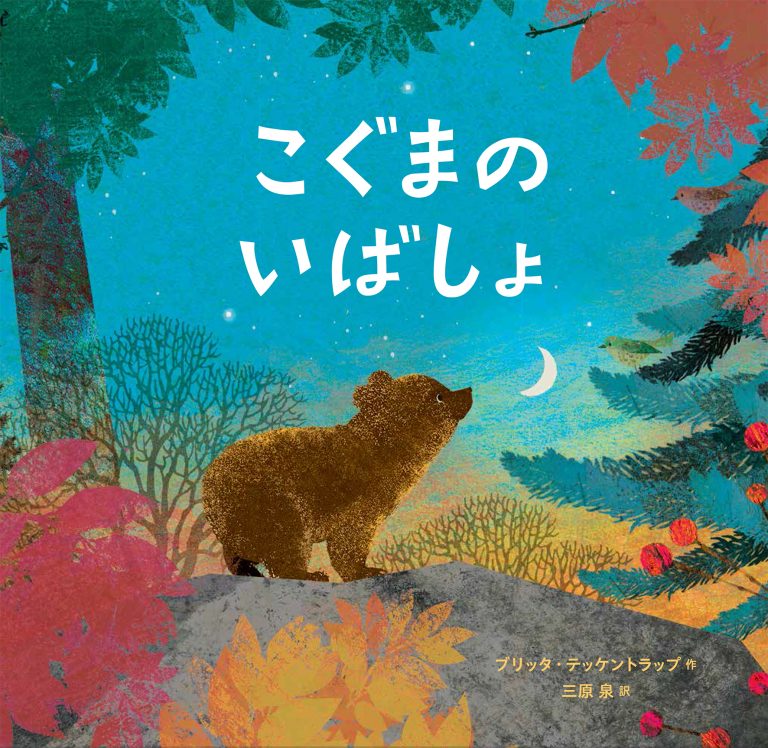 絵本「こぐまのいばしょ」の表紙（詳細確認用）（中サイズ）