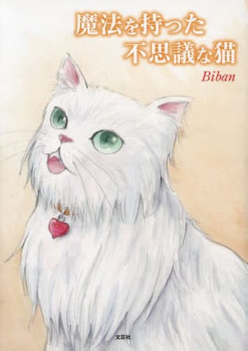 絵本「魔法を持った不思議な猫」の表紙（詳細確認用）（中サイズ）