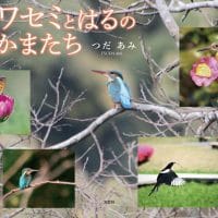 絵本「カワセミとはるのなかまたち」の表紙（サムネイル）