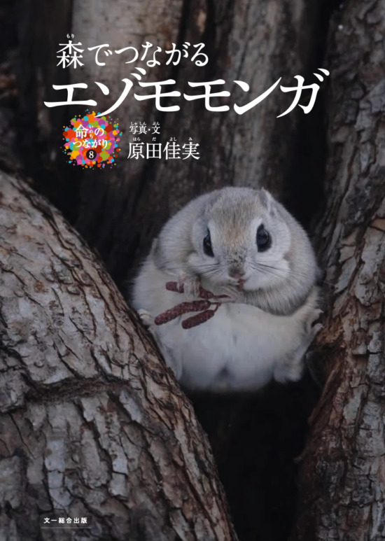 絵本「森でつながる エゾモモンガ」の表紙（中サイズ）