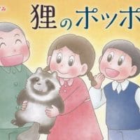 絵本「狸のポッポー」の表紙（サムネイル）