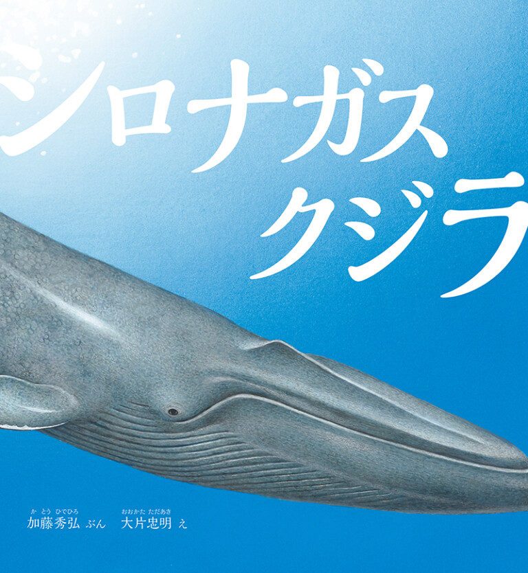 絵本「シロナガスクジラ」の表紙（詳細確認用）（中サイズ）