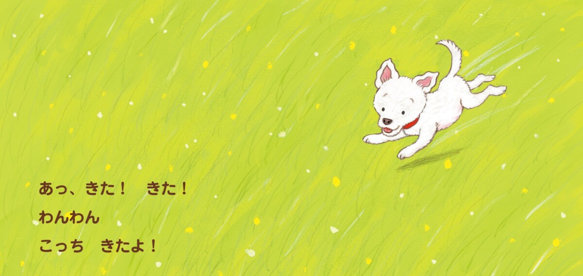 絵本「わんわん ばあ！」の一コマ3