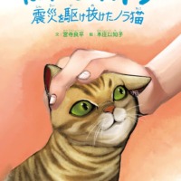 絵本「ぼくの名前はトラ」の表紙（サムネイル）