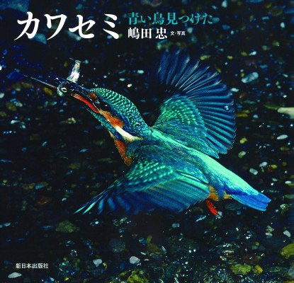 絵本「カワセミ 青い鳥見つけた」の表紙（詳細確認用）（中サイズ）