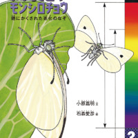 絵本「まぼろし色のモンシロチョウ」の表紙（サムネイル）