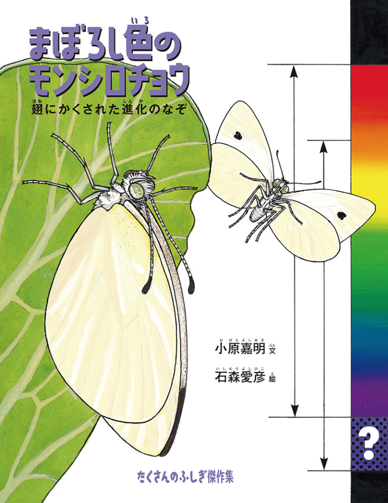 絵本「まぼろし色のモンシロチョウ」の表紙（詳細確認用）（中サイズ）