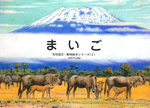 絵本「まいご」の表紙（詳細確認用）（中サイズ）