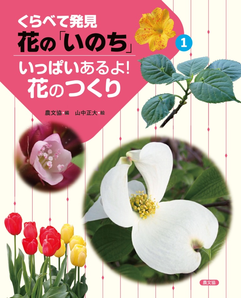 絵本「いっぱいあるよ!花のつくり」の表紙（詳細確認用）（中サイズ）