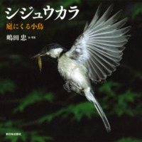 絵本「シジュウカラ 庭にくる小鳥」の表紙（サムネイル）