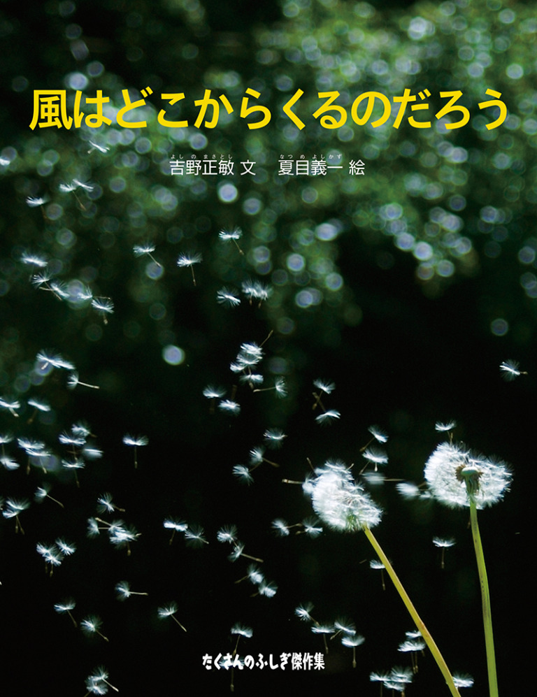 絵本「風はどこからくるのだろう」の表紙（詳細確認用）（中サイズ）