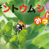 絵本「テントウムシみっけ！」の表紙（サムネイル）