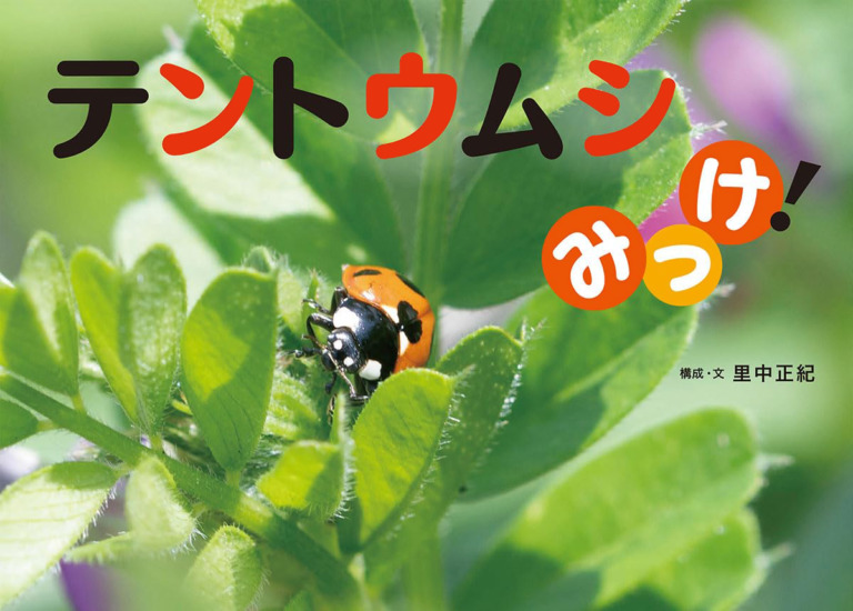 絵本「テントウムシみっけ！」の表紙（詳細確認用）（中サイズ）