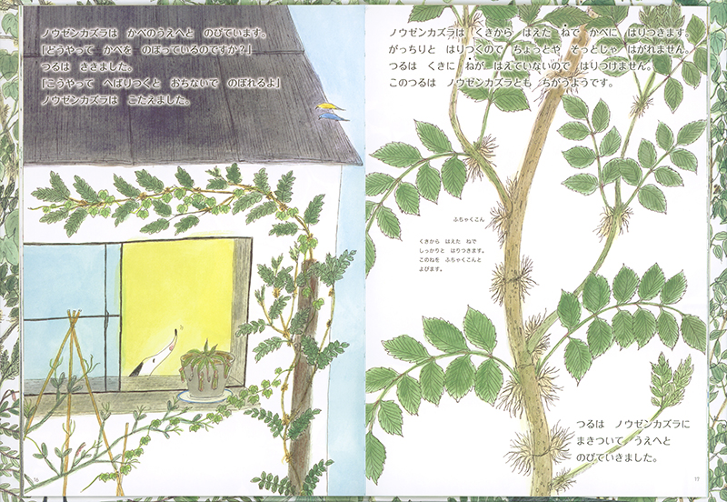 絵本「きみは なんの つる?」の中面2