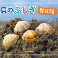 絵本「貝のふしぎ発見記」の表紙（サムネイル）