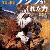 絵本「クジラがくれた力」の表紙（サムネイル）