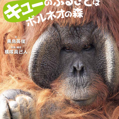 絵本「キューのふるさとはボルネオの森」の表紙（サムネイル）