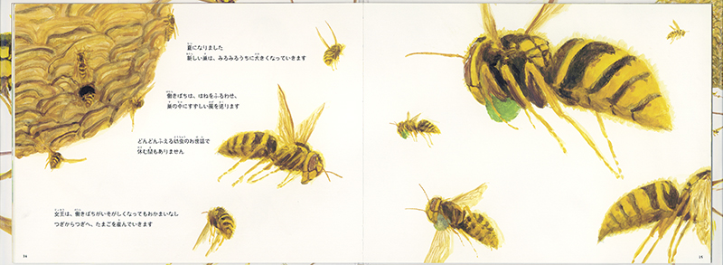 絵本「すずめばち」の中面