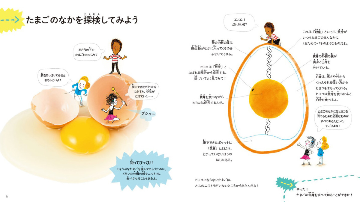 絵本「はじめてのサイエンス たまご」の中面