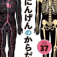 絵本「めくれる！ しかけ図鑑絵本 にんげんのからだ」の表紙（サムネイル）