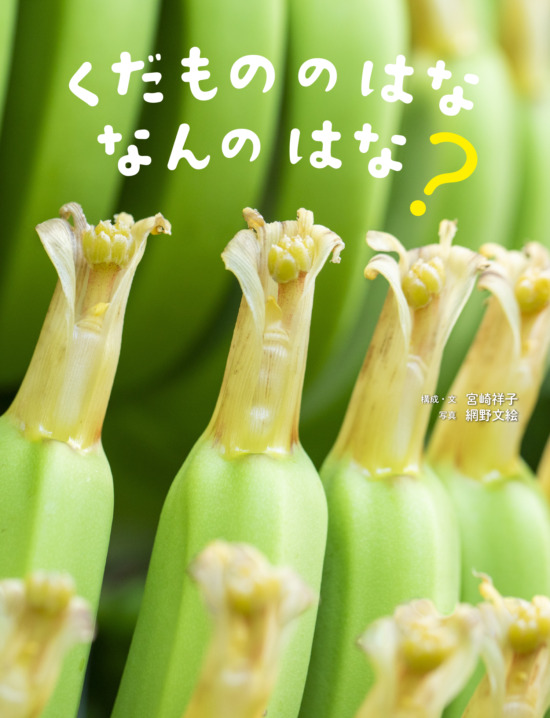 絵本「くだもののはな なんのはな？」の表紙（中サイズ）