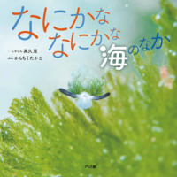 絵本「なにかななにかな 海のなか」の表紙（サムネイル）