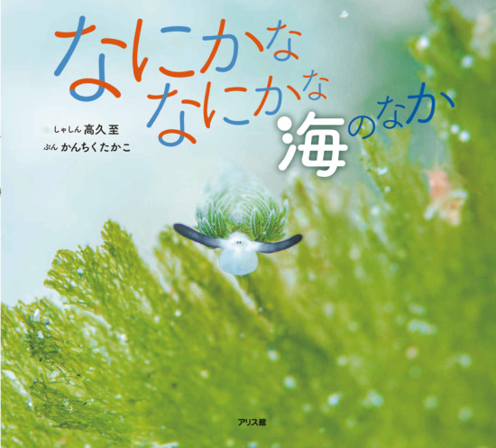 絵本「なにかななにかな 海のなか」の表紙（全体把握用）（中サイズ）