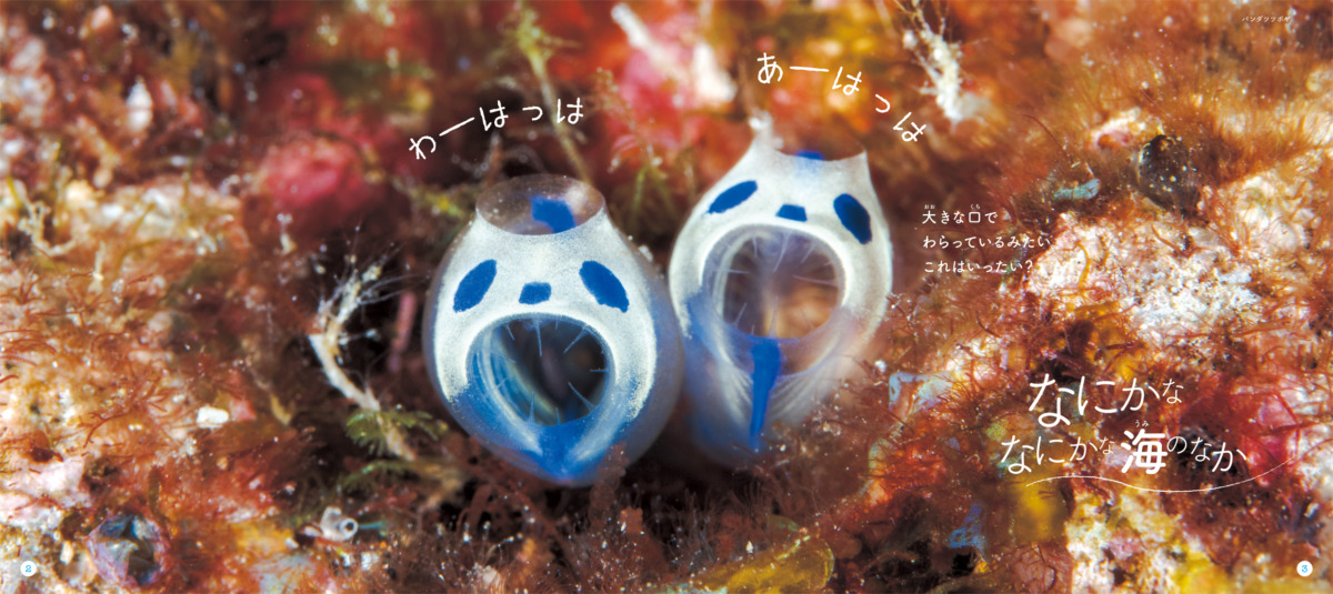 絵本「なにかななにかな 海のなか」の中面