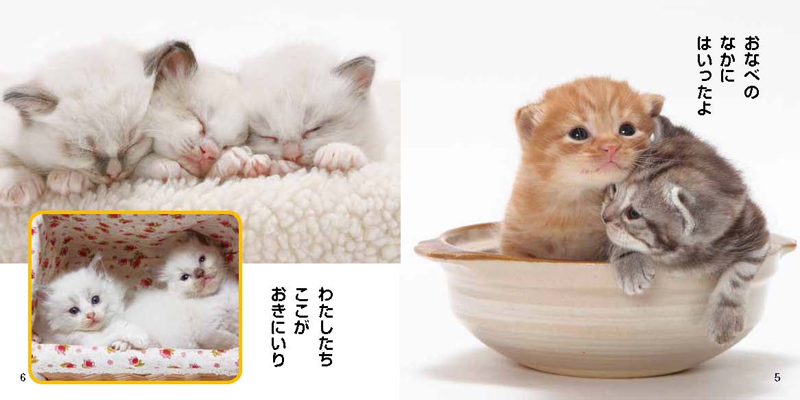 絵本「かわいいこねこ」の中面3