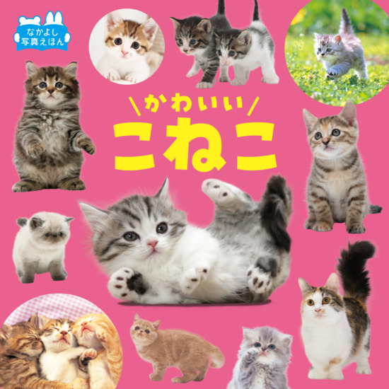 絵本「かわいいこねこ」の表紙（中サイズ）