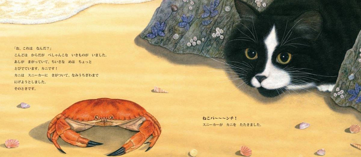 絵本「うみとねこ」の中面2