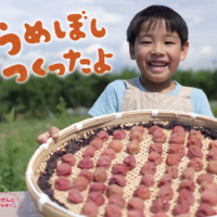 絵本「うめぼし つくったよ」の表紙（サムネイル）