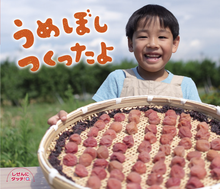 絵本「うめぼし つくったよ」の表紙（詳細確認用）（中サイズ）