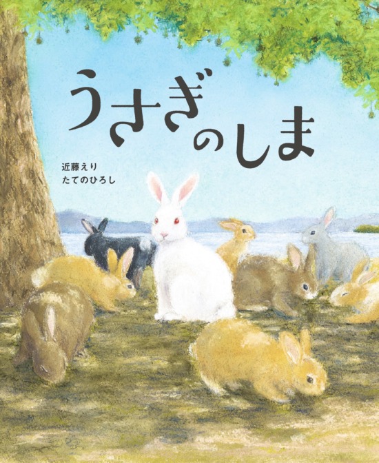 絵本「うさぎのしま」の表紙（全体把握用）（中サイズ）