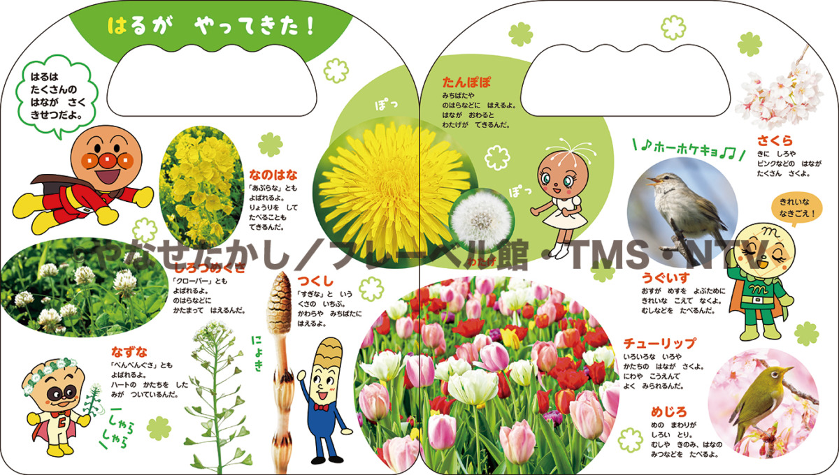 絵本「アンパンマンはじめてずかん しぜん」の中面
